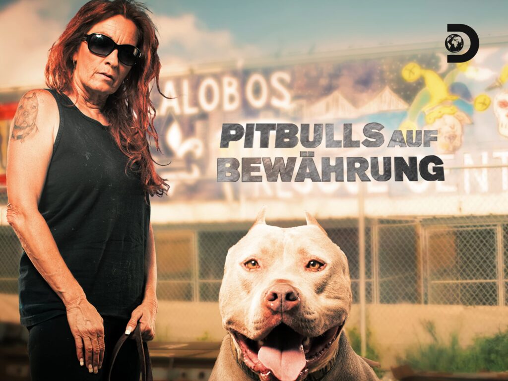 Pitbulls auf Bewährung - documentary series, poster