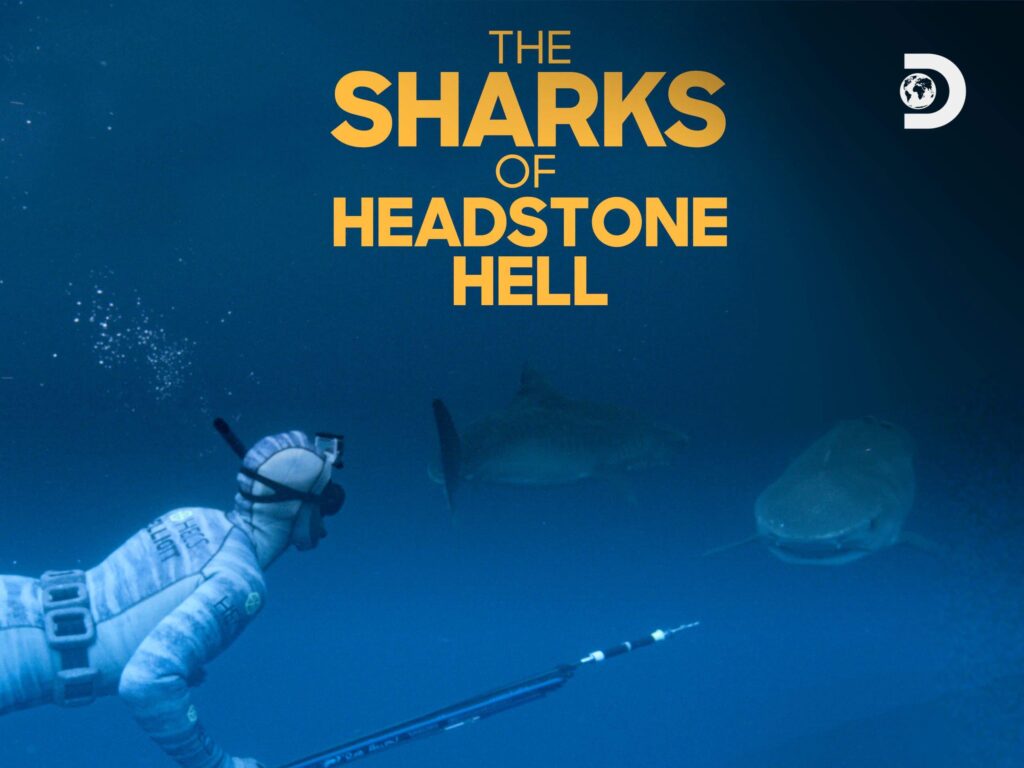 The sharks of Headstone Hell - documentary, poster image