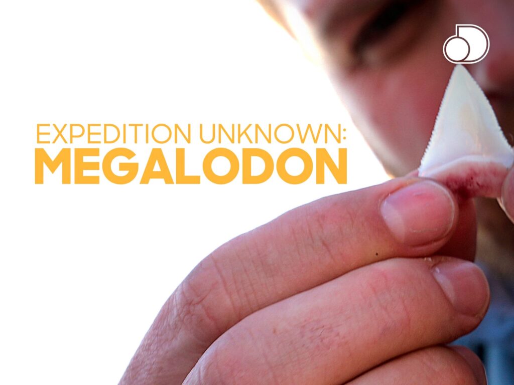Expedition Unknown, Megalodon - documentary, poster
